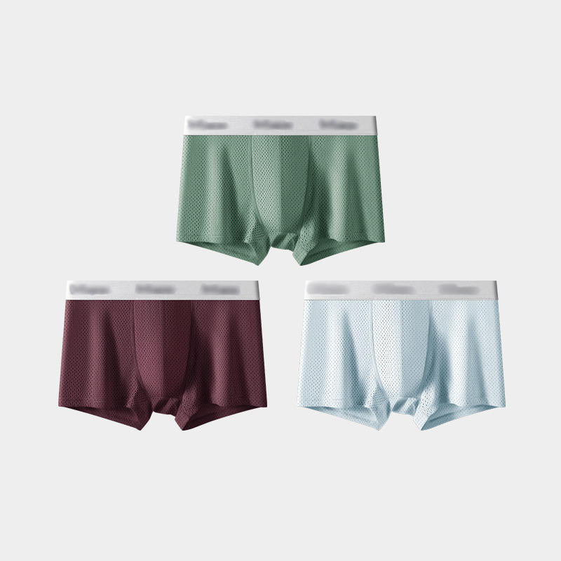 버건디/라이트 블루/그린 [3팩]