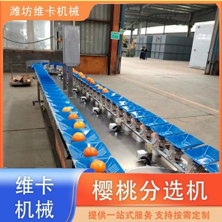 巴沙鱼柳称重分选机 即食鸡胸重量分拣机 自动翻盘式分级机