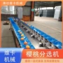 即食盘式称重自动分级机