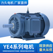 山东力久YE4系列2极三相异步电动机 IE4高能效机床机械电机