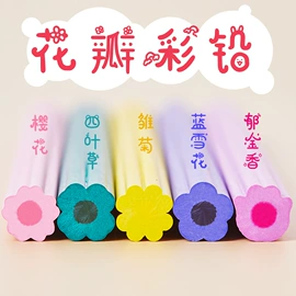 铅笔;橡皮擦;卷笔刀削笔器