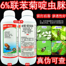 �M��������x������x����������x���rș�׷�ʭ���ך��x��