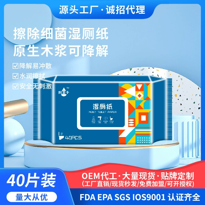 EONGOA Влажная туалетная бумага, 40 ящиков, Разлагаемый унитаз со смывом, неблокирующий Семейный пакет, гигиеническая влажная салфетка для мужчин и женщин для беременных и детей