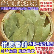 ���~ɢ�b�����~�����������~��Ƭ�¹��~���~���������{���������l