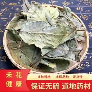 �ӱ���ș�����~ �����~ ���|��ƷȫƷ���ș�ĬF؛���l����r��