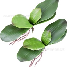 �����m�~�ָ�ܛ�z�廨����~�ӻ�c�Ҿ��b����컨�Gֲ���Ը߷���