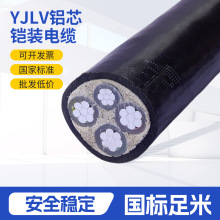 YJLV�Xо�z�b��|0.6/1KV�����ľ����m�õ����c�ܵ����O�����|