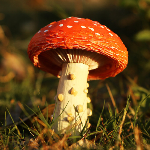 Cross-border outdoor courtyard ornaments, landscape decorations, garden potted plants, bonsai decoration, simulated mushroom micro-landscape decoration