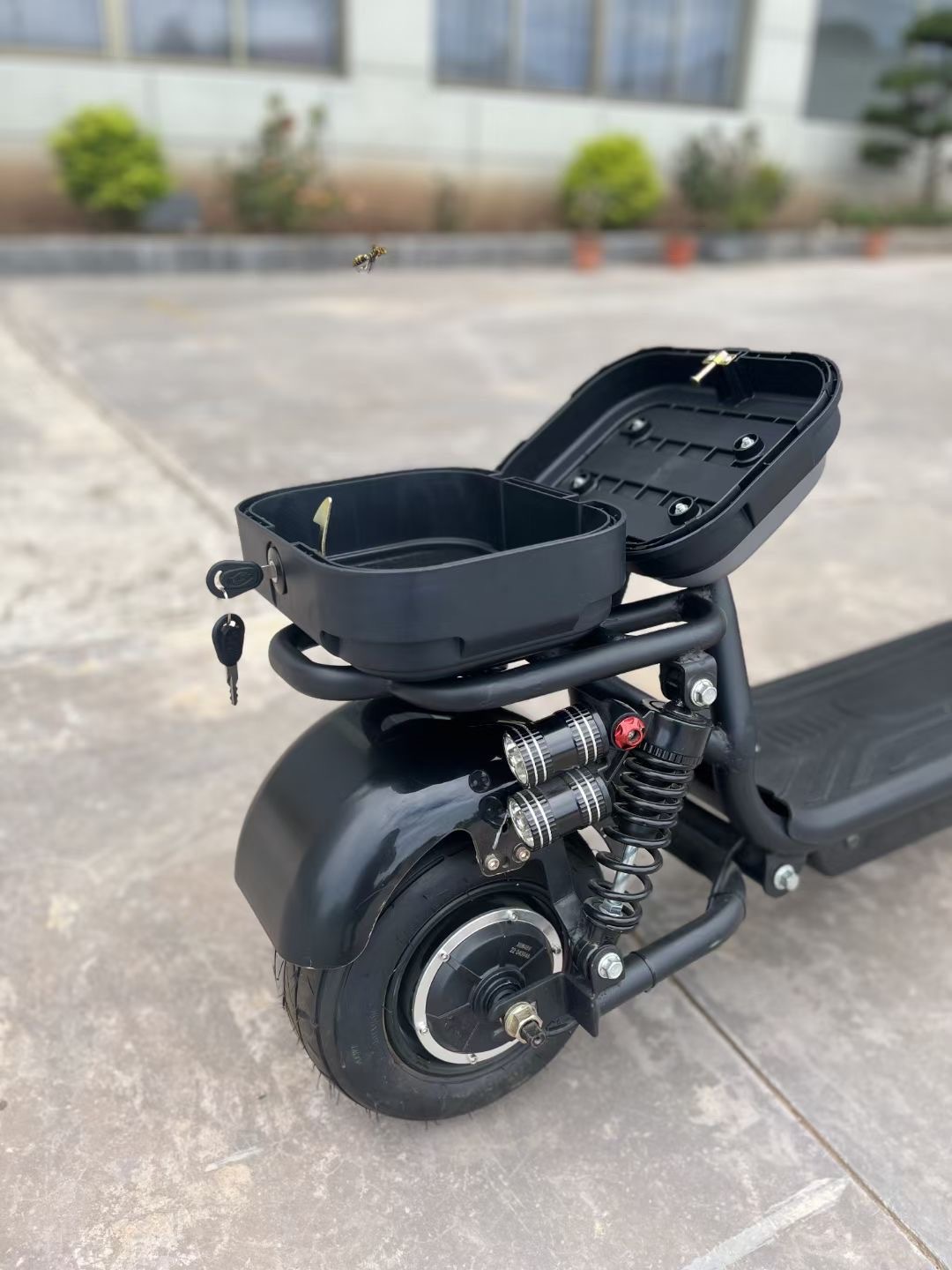 Electric scooters 6.jpg