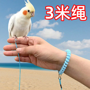 �W�^�B���w�K�����K�������B�K���_�h�K�K��С�B�¿�С̫��B��˩