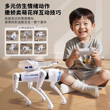 �к����նY�ͯ�����b�ؙC����2025���¿�Cеai�˹��ɾ������