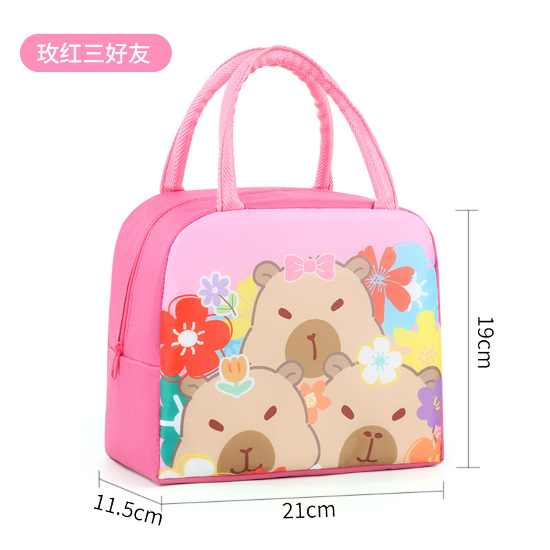 Bolsa de almuerzo infantil de dibujos animados bolsa de almuerzo portátil bolsa de almuerzo aislante de calor bolsa de almuerzo lindo bolsa de almuerzo al trabajo y la escuela estudiantes con bolsa de almuerzo