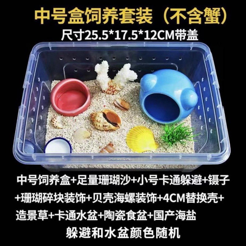 寄居蟹专用饲养爬宠饲养盒昆虫观察盒新手套装饲养缸寄居蟹套餐|undefined