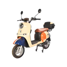 工厂直销电动自行车800W可定制家庭价格实惠高端电动摩托车