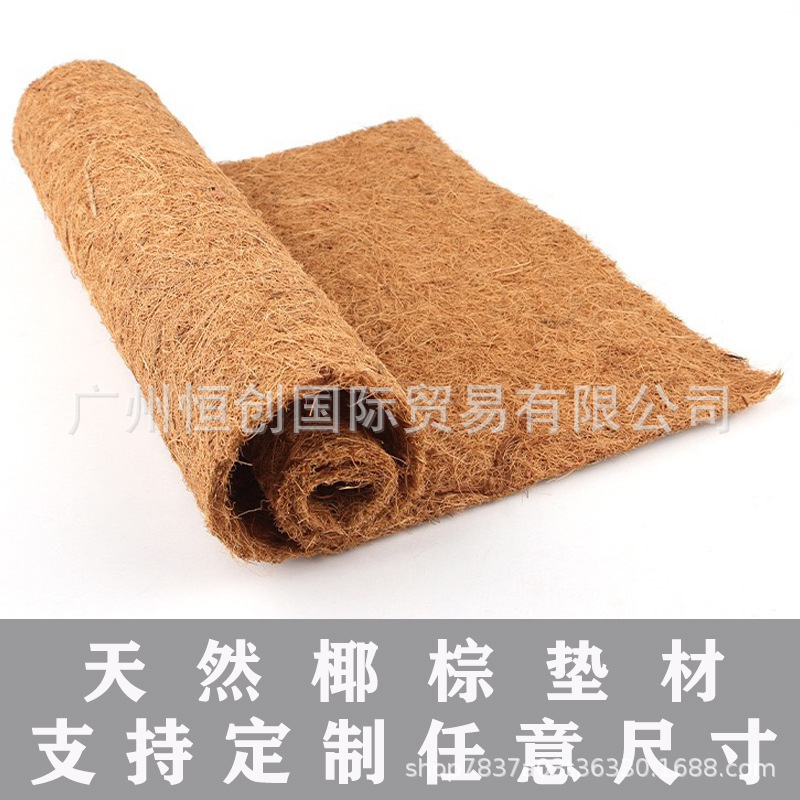 Suka leopard turtle up to land turtle lizard crawling pet reptile coconut palm mat pet landscaping natural reptile box mat