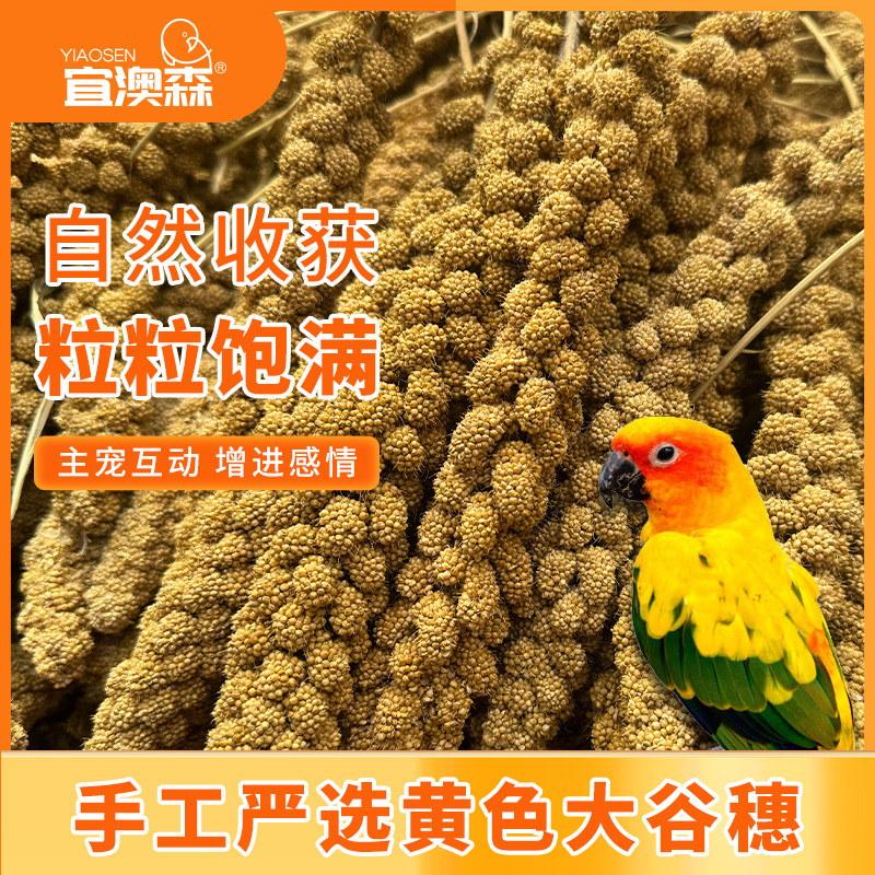 �W�^������Ȼ���������rС������ϻ�Ƥĵ�����PӖ�����B��ʳ�w��