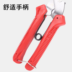Polishing fruit pruning garden shears garden scissors pruning shears fruit picking shears branch pruning shears flower shears fruit and vegetable shears thinning fruit shears tree branch shears
