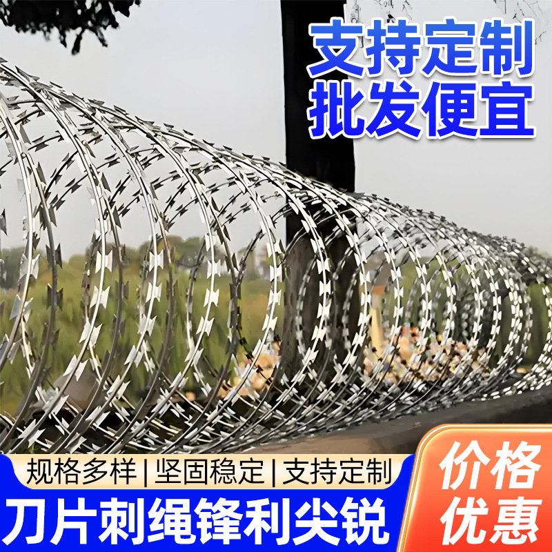 刀片刺绳304不锈钢材质监狱看守所学校围墙防护网带刺铁丝滚笼