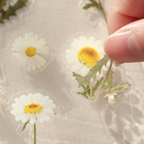 透明PET贴纸防水保温杯水杯小清新花朵植物diy手帐素材装饰贴画