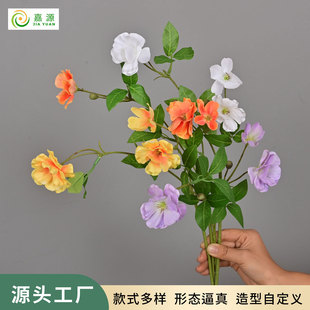 С֦�����m¶ɏ���滨�Ҿӻ�ˇ�b[��������c�zӰ�����p�ݔ[��