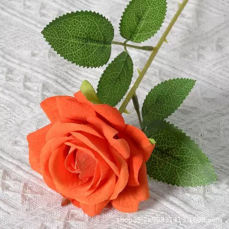 Velvet Corner Rose (Orange)