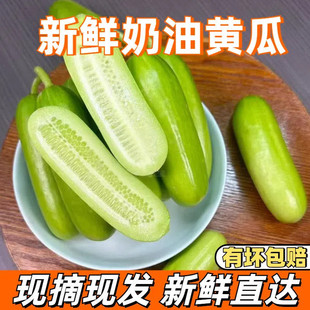 2026�o������С�S�ϬFժ��ʳС����r������������S�ϴ����߲�