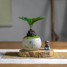 铁树苏铁迷你盆景盆栽四季常青中式禅意绿植室内茶室办公室好养