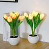 tulips Night light LED Artificial Flower Bedside lamp bedroom dormitory gift Atmosphere lamp ins girl decorate Table lamp