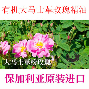 �ЙC���Rʿ��õ�徫�� �ЙC����IFA����SPAϴԡ����