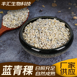 �r���{�������� ������ȴּZ������ �F؛������������