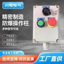 BZC��ʽ���������� �X�Ͻ�2��2�o�����䰴�o�з����h�̲������o��