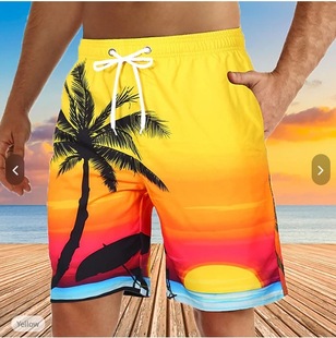 Cross-Border Summer Hot-Selling European and American Surfing Quick-Dry Men's Beach Shorts Casual Vacation Ethnic Style Mesh Shorts Trendy