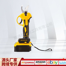 �羳����֦�����@�ֳ��ʽ�����޼�����֦����늼���ʡ����y