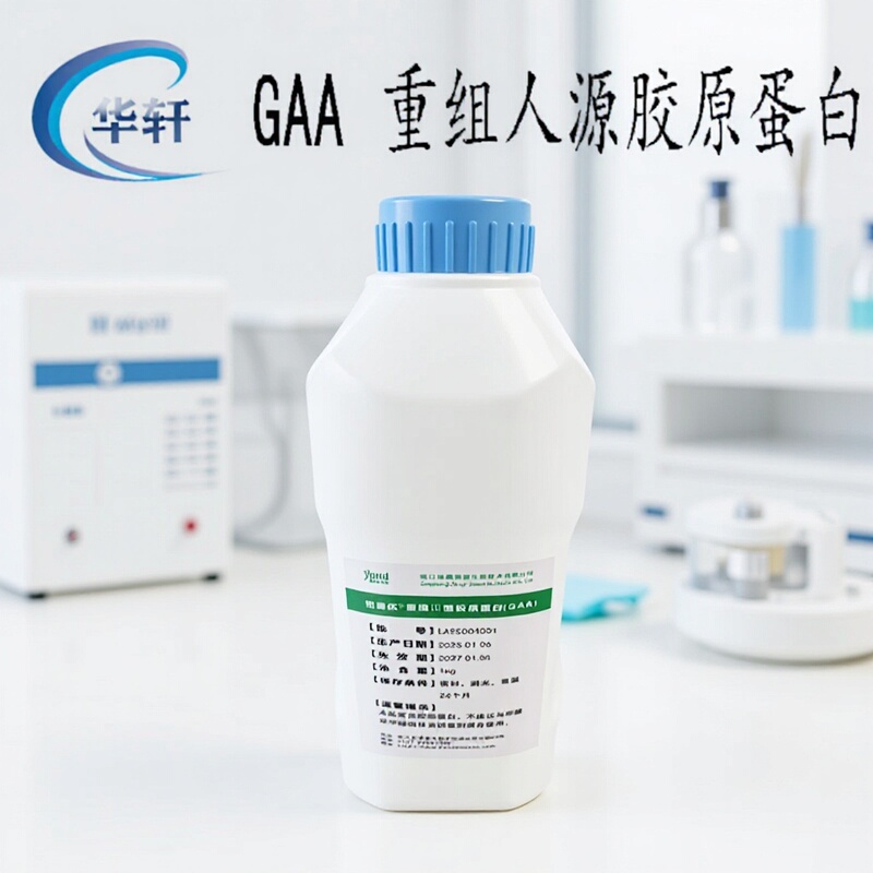 Zhejiang Gaa Recombinant Human Collagen Type Ⅲ Skin Care Raw Material Soluble Collagen Minimum Order 50g