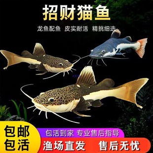 ؈�~����L�tβ؈�����T�~�׌ӟᎧ�^�p�~���͵�ˮ�~���B