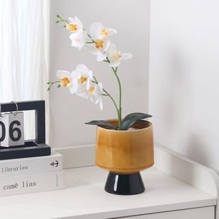 �����Ժ����m�����մɸߙn�p�ݱ��W���_�������[���{��麾Gֲ