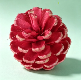 �羳Ư���ɹ�diy����ɭ�ָɻ������׃��@�}�Q�b��}�QС����