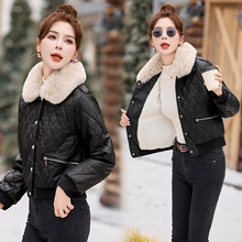 ����ͬ��Ƥëһ�wŮ�b��yë�I�����ӽqƤ�±�ů�d��Ƥ�̿�����Ů