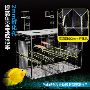 Customized Isolation Box Fish Tank Acrylic Fry Hatching Box Tropical Fish Hatching Box Spawner Betta Fish Isolation