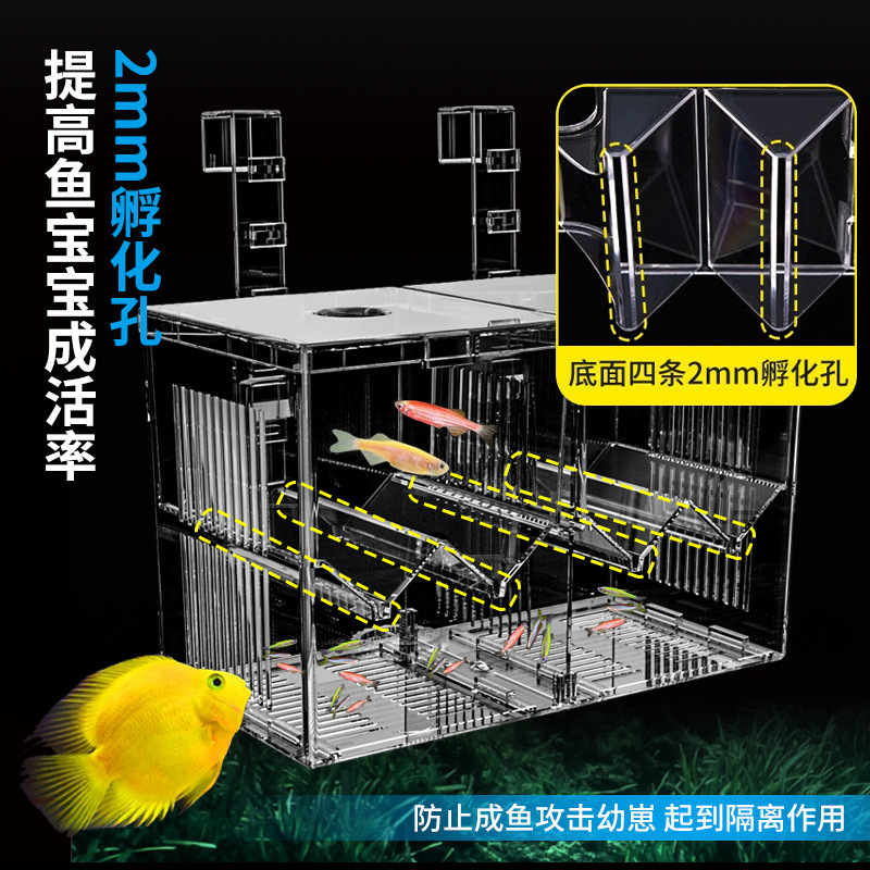 定制 隔离盒鱼缸亚克力鱼苗孵化盒热带鱼孵化盒产卵器斗鱼隔离