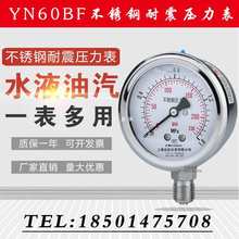 不锈钢压力表 Y60BF YN60BF 不锈钢耐震 高温氨用 上海仪民 东亚