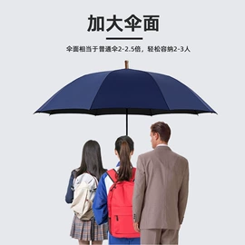 晴雨伞;遮阳/太阳伞;雨伞