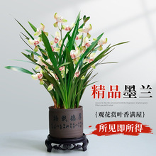 mīm̨҃͏dͺBͥլGֲ