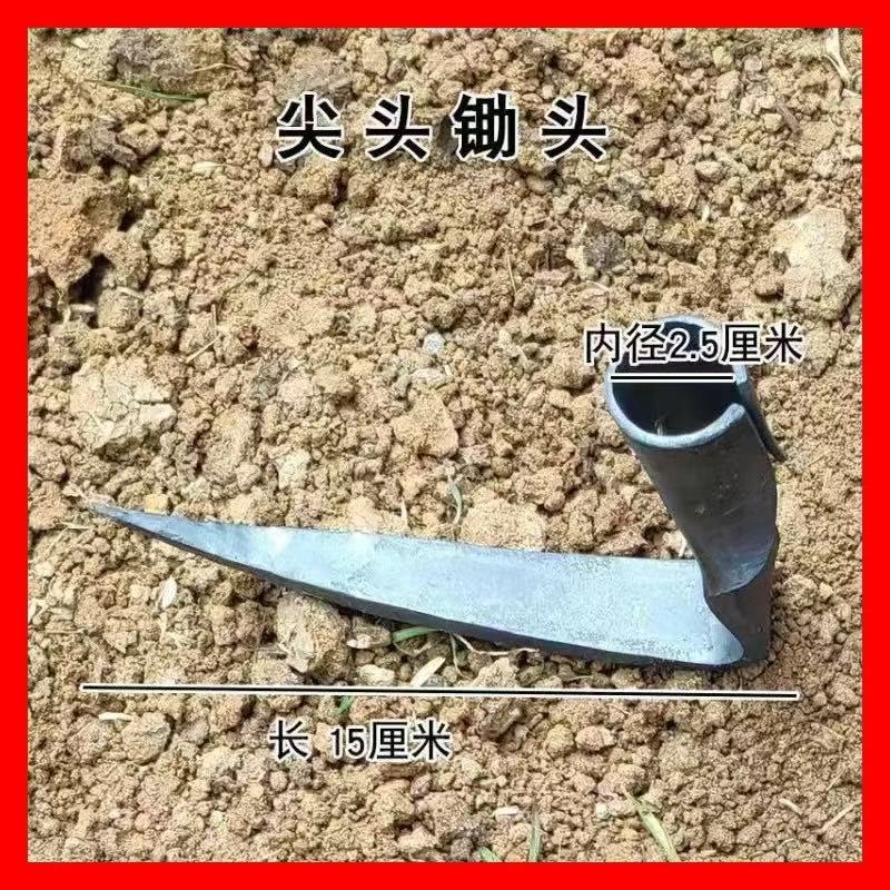 微信图片_202503301441331.jpg