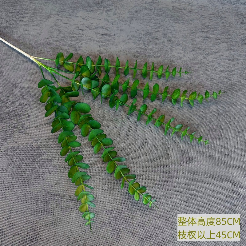 5갈래 유칼립투스 그린