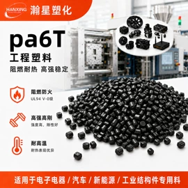 PA6;PA66;PPA