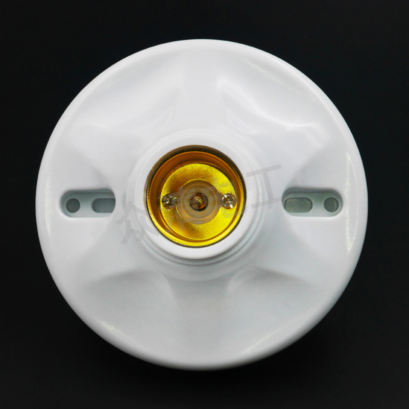 P1020842