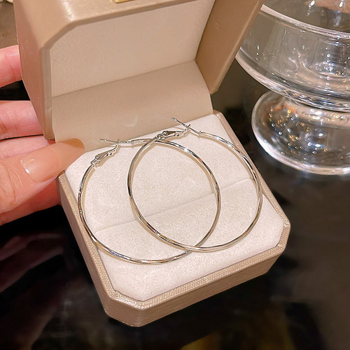 Light Luxury, Niche, Versatile, Stylish, Minimalist, Exaggerated Plain Hoop Earrings for Women, S925 Silver Needle, Fashion Copper Style, Nail Earrings, Accessory