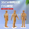 Copper Portable acupuncture human body acupoint Model Have an acupuncture treatment Practice skin bronze image Hand and foot Ears acupoint