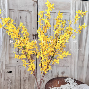 ӭ�������滨��ˇ�Ƶ��Sɫ�����m�bҾӔ[��ӭ���������S�����l